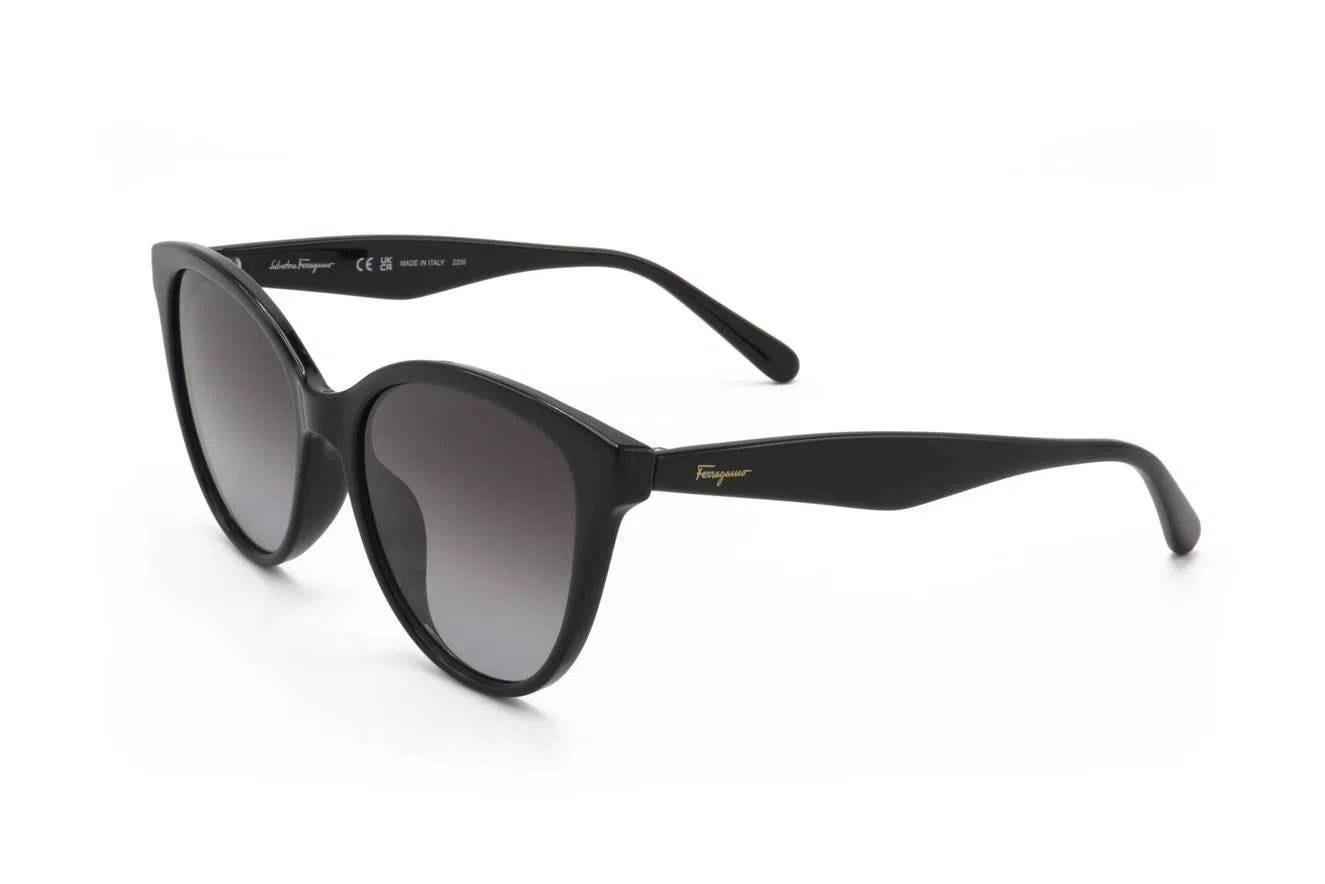 Ferragamo SF1073S Sunglasses - view 7
